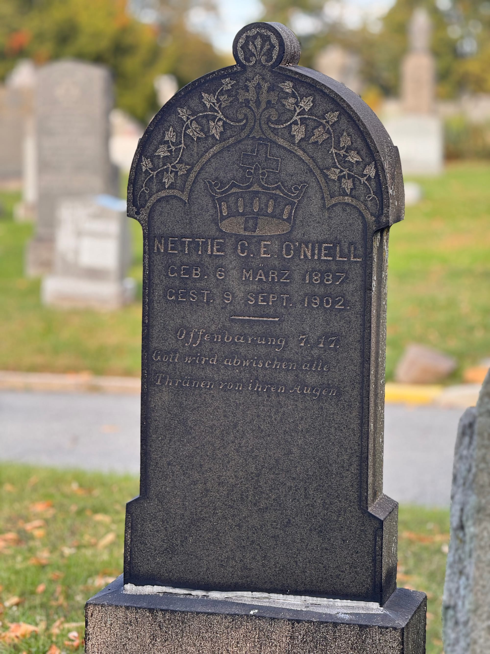 Wander Report: Ridgewick