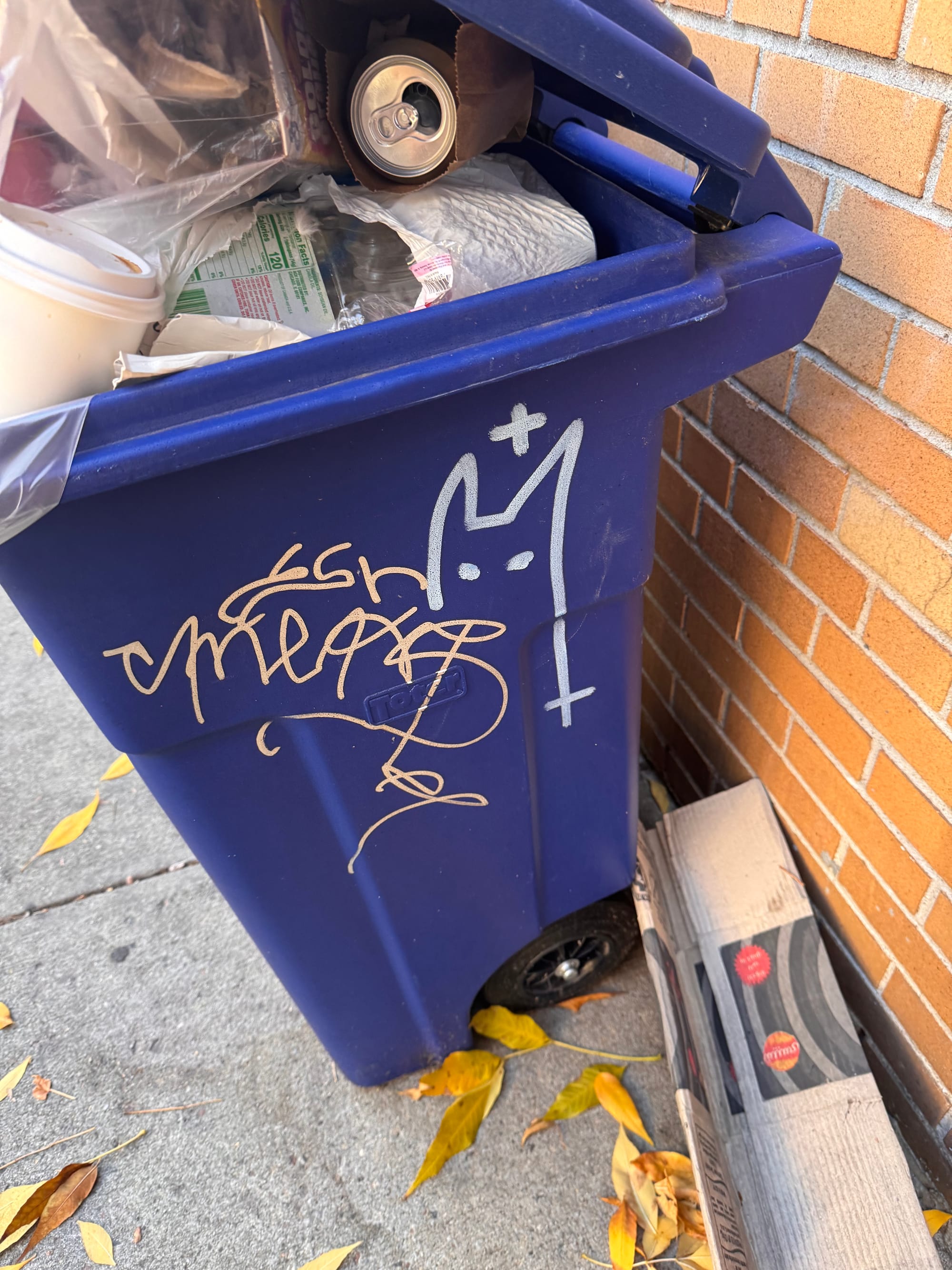 Wander Report: Ridgewick