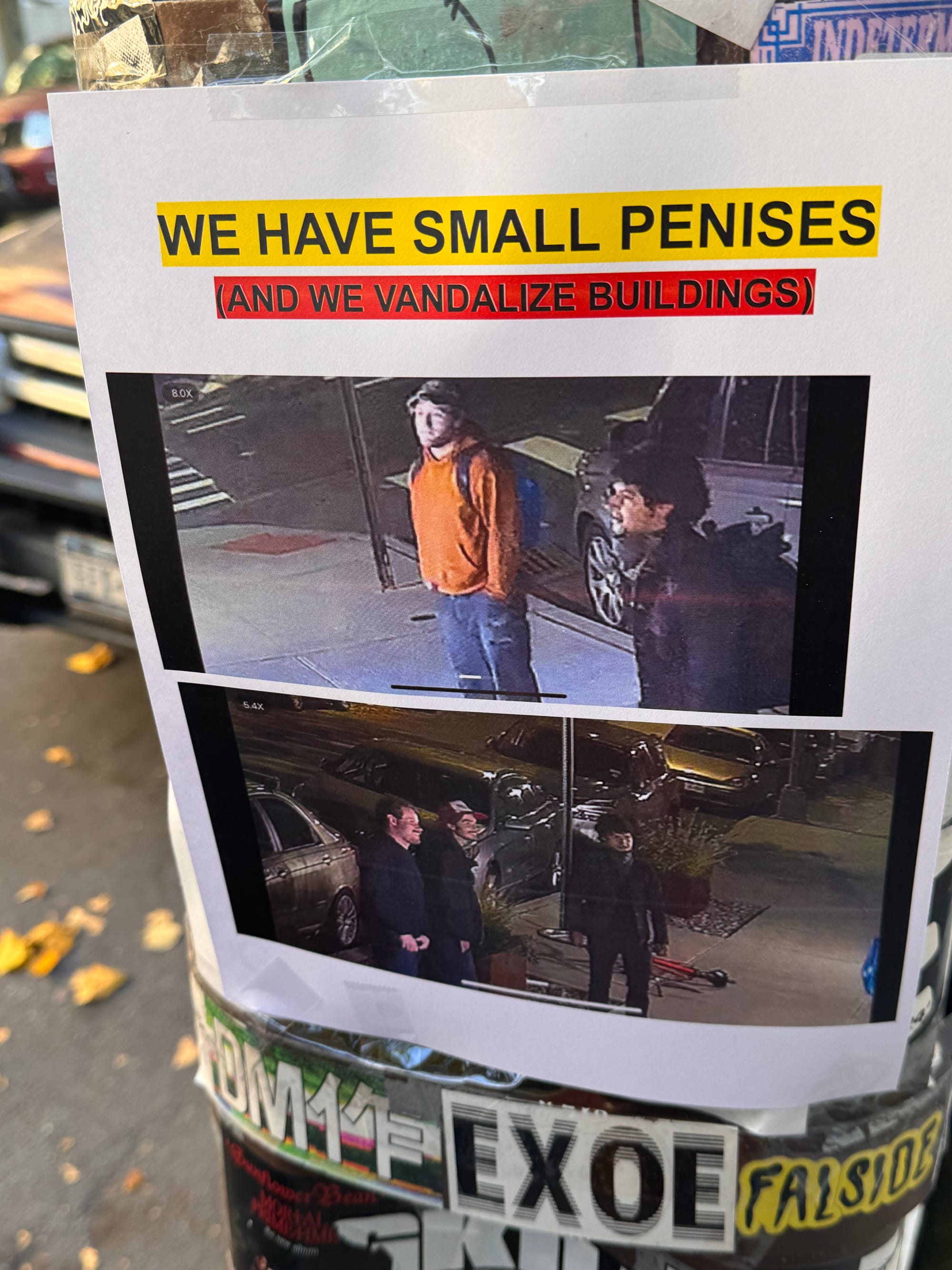 Wander Report: Ridgewick