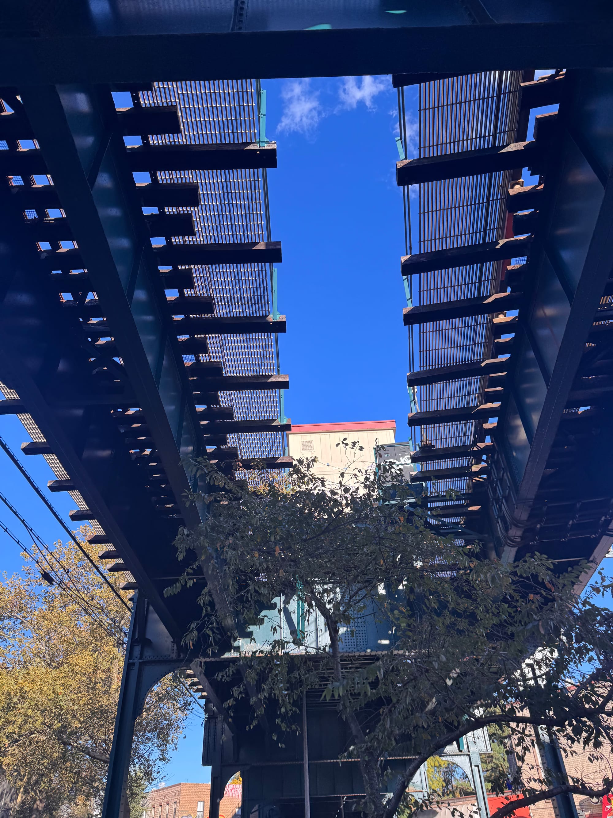 Wander Report: Ridgewick