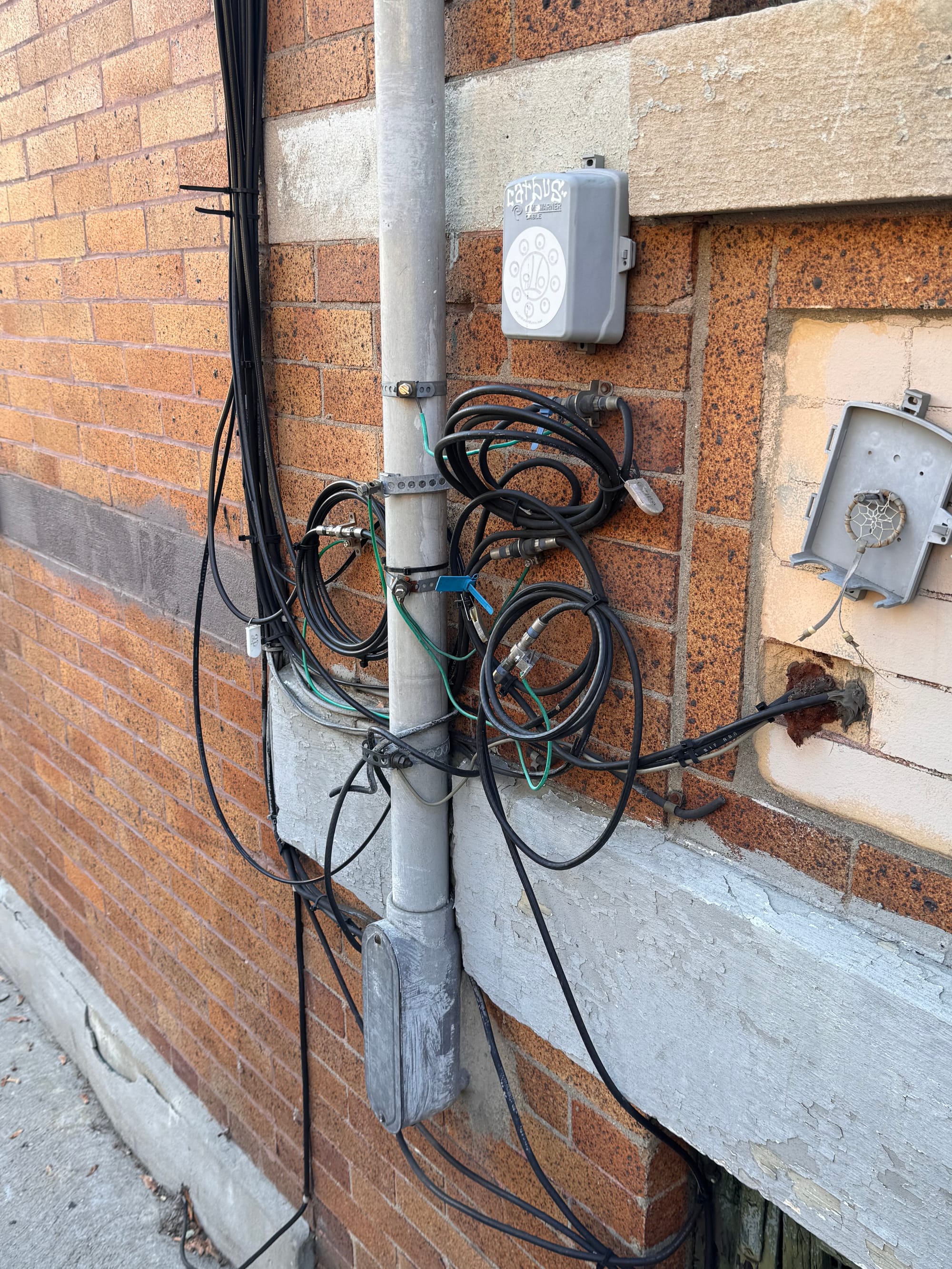 Wander Report: Ridgewick