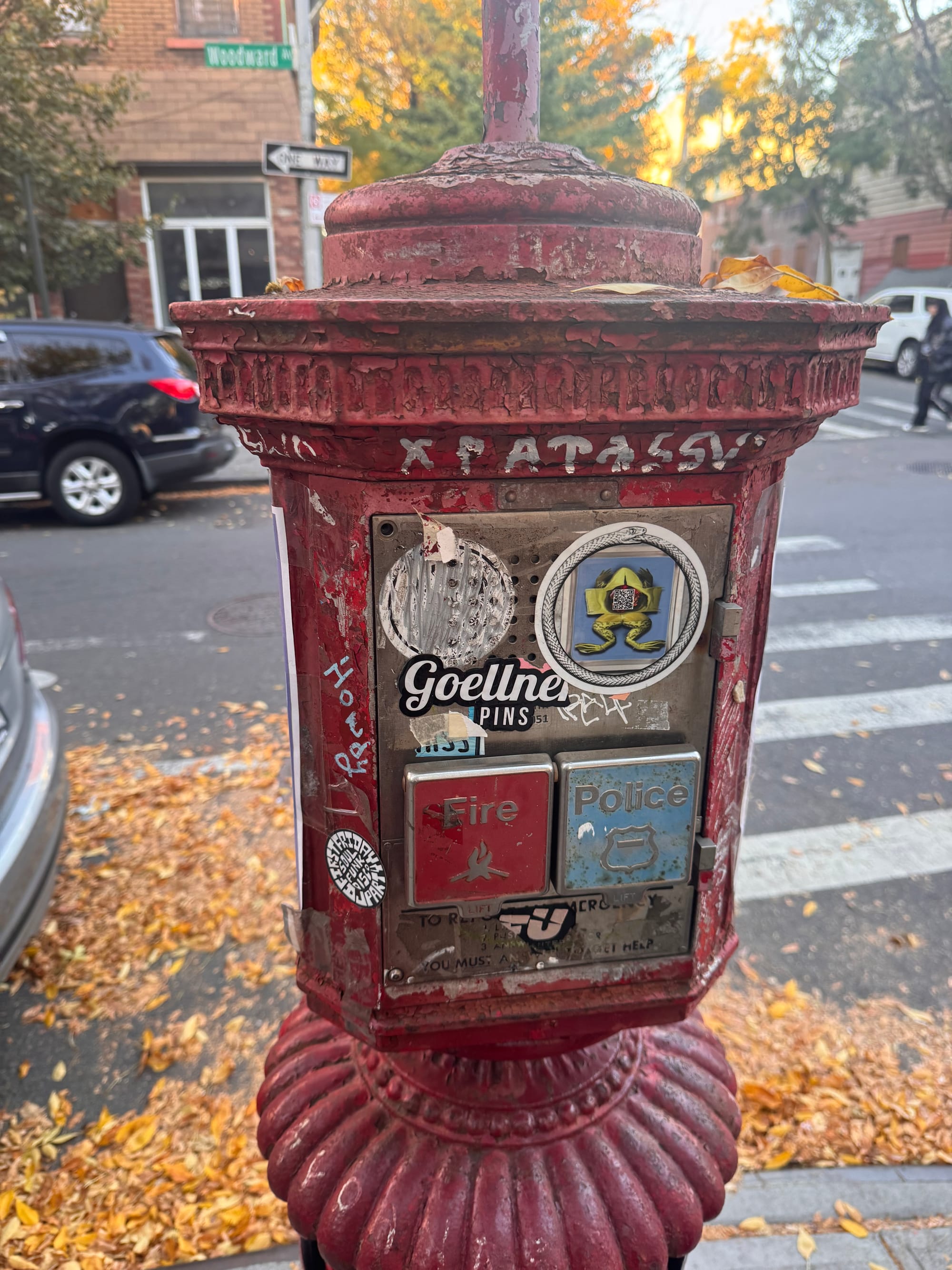 Wander Report: Ridgewick