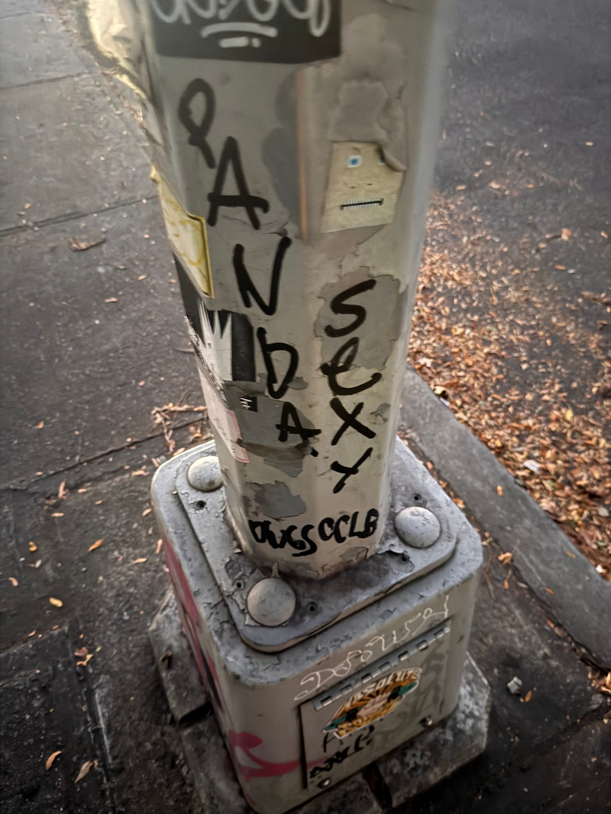 Wander Report: Ridgewick