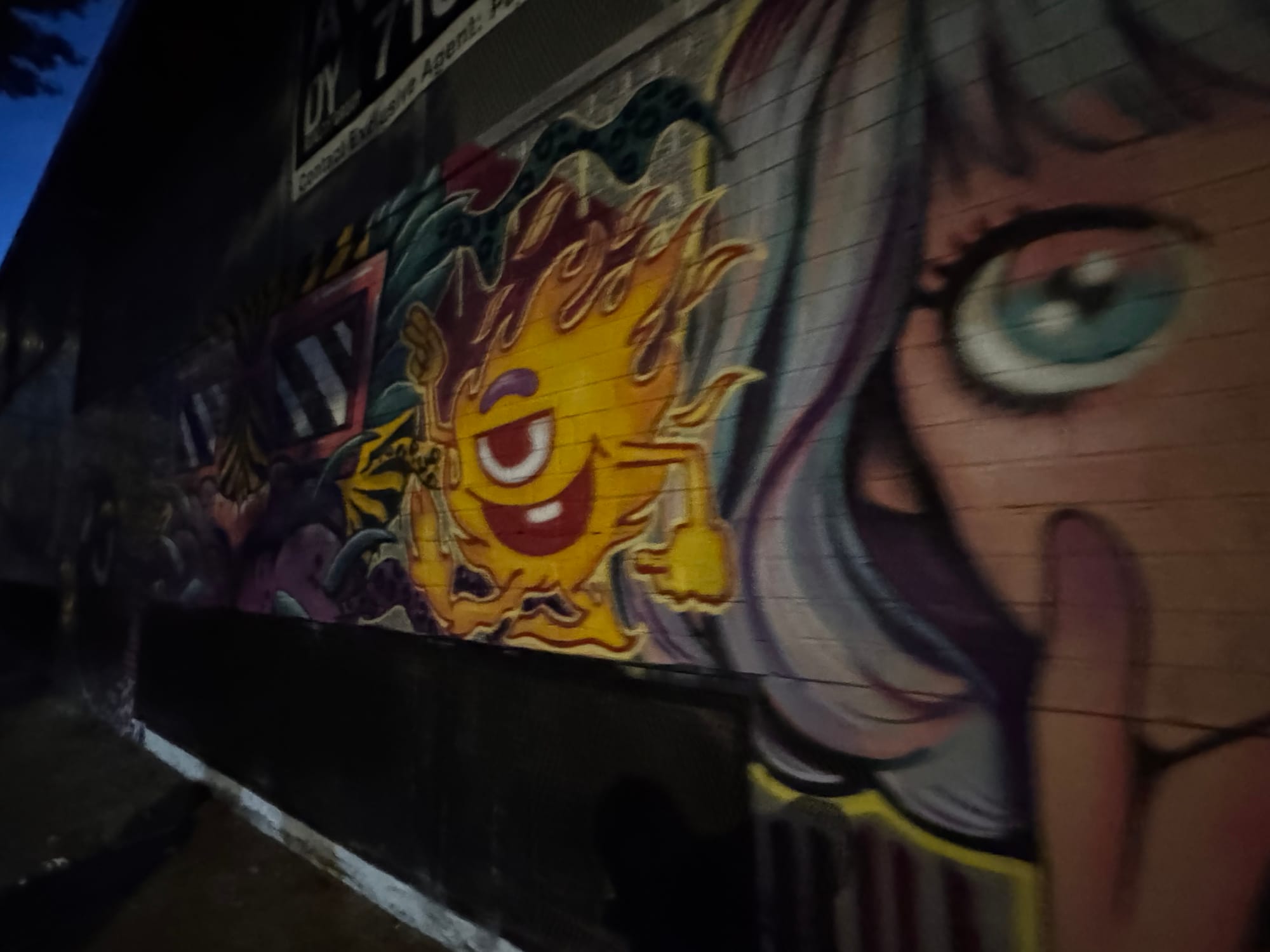 Wander Report: Ridgewick