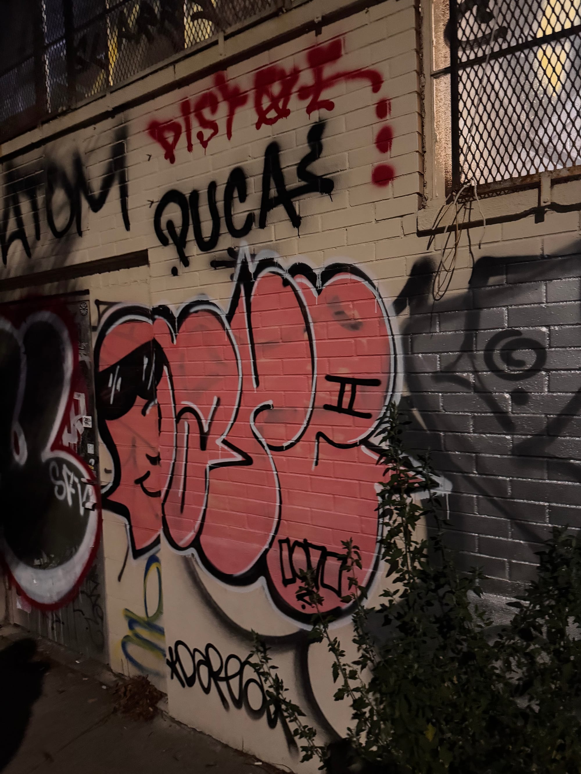 Wander Report: Ridgewick