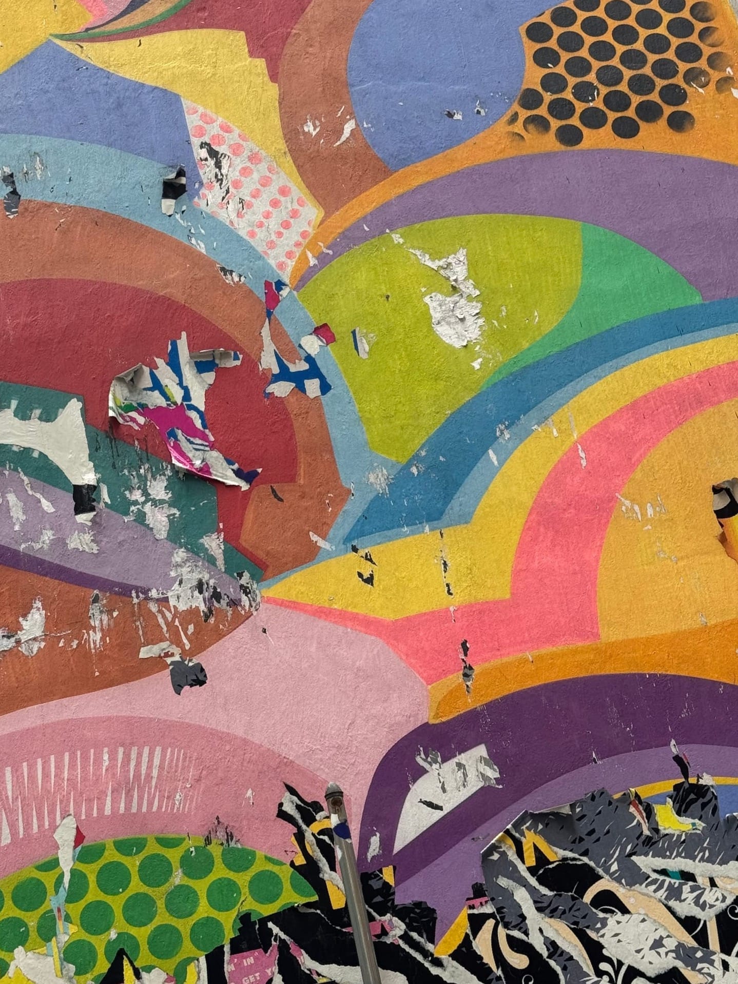 Sunday Wander Society